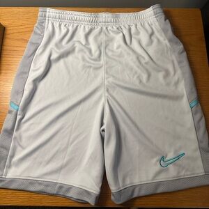 Nike Light Gray Dri-FIT Shorts